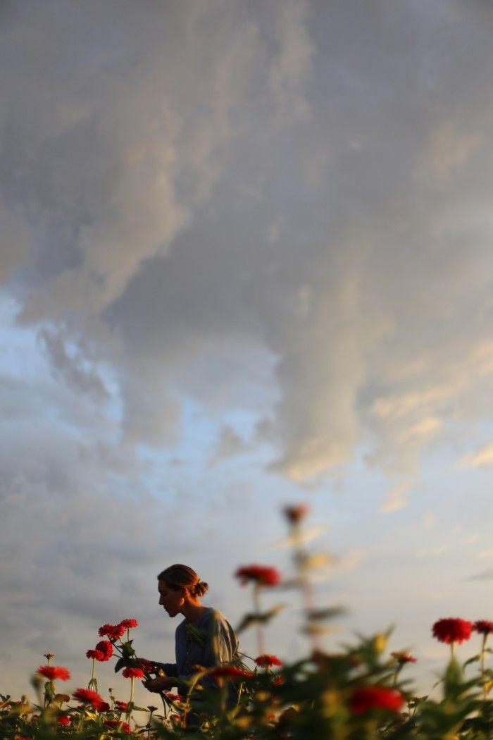 Grove Crest Meadow workshop space where corporate flower arrangements are designed and prepared for business delivery